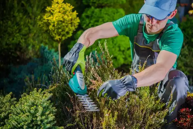 landscaping services Duncan Falls